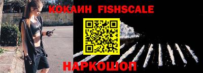 индика Брянск