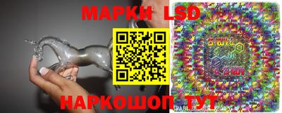 индика Брянск