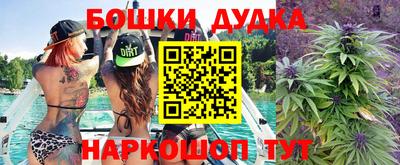 индика Брянск
