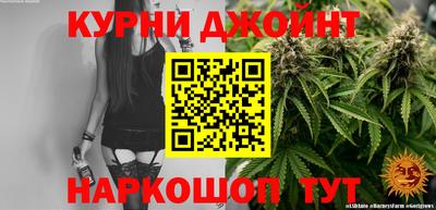 индика Брянск